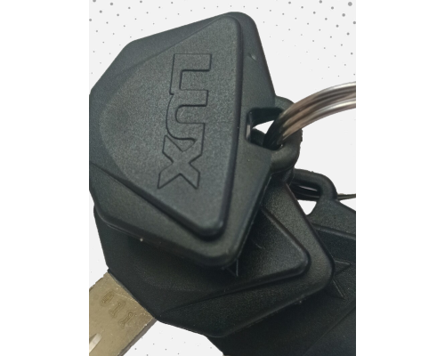 Набор личинок с ключами багажной системы LUX (4 шт.) (арт. 843157)