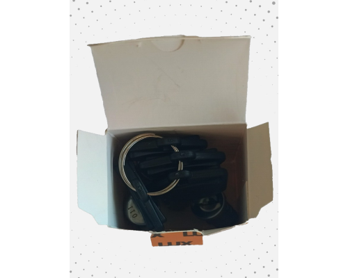 Набор личинок с ключами багажной системы LUX (4 шт.) (арт. 843157)